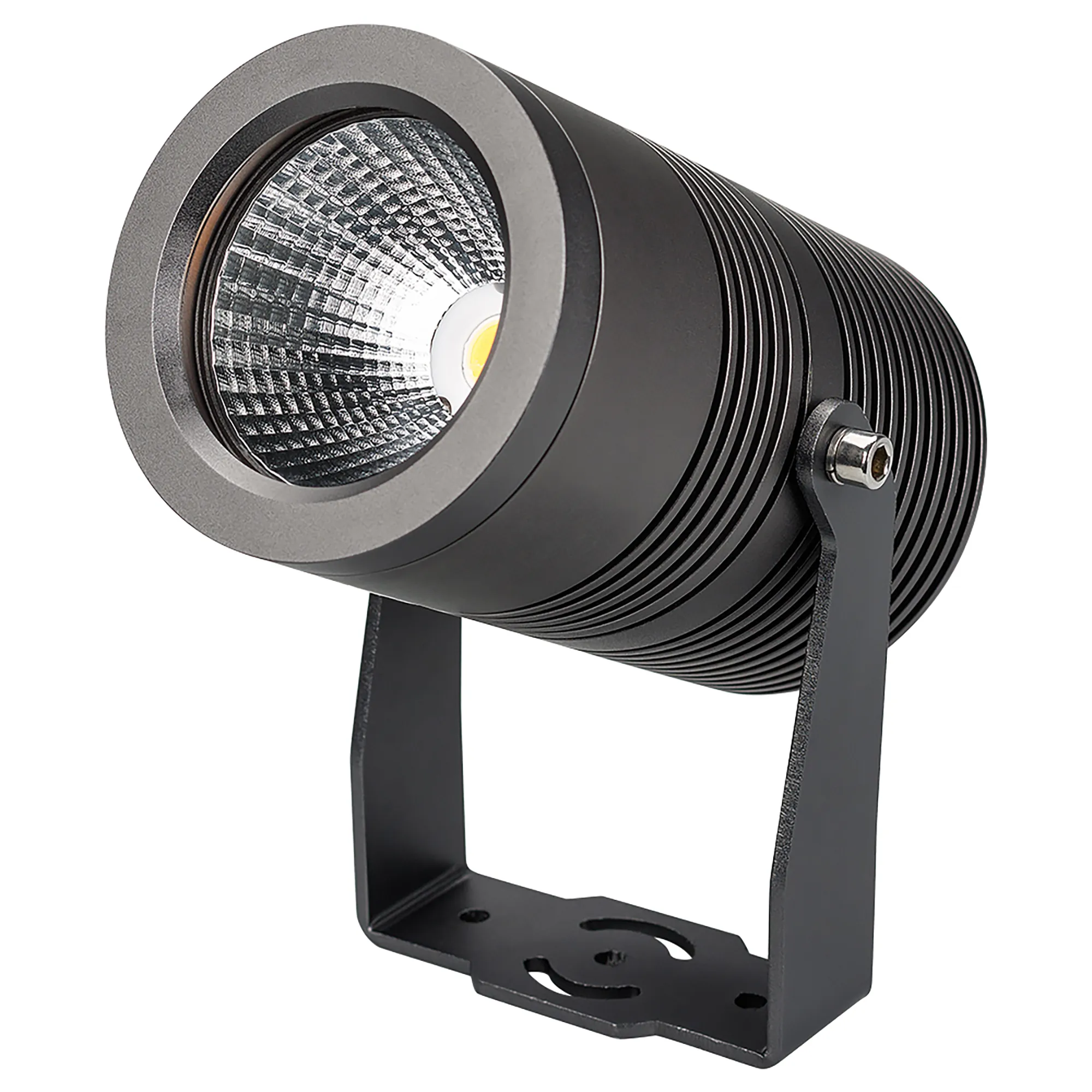 029699 Arlight