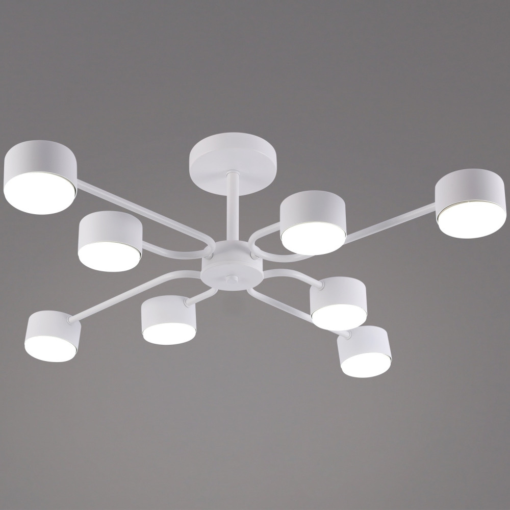 03708-0.3-08 WT GX53_