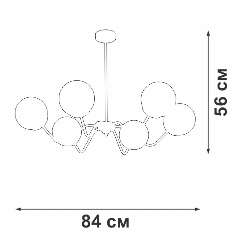 V4274-8/6PL Vitaluce