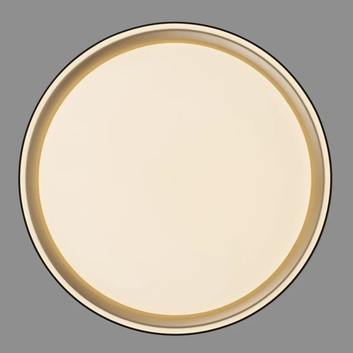 CL751251G Citilux