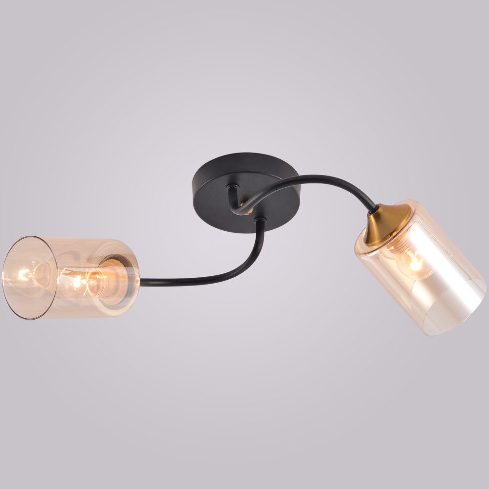 01608-0.3-02 BK+BRASS_