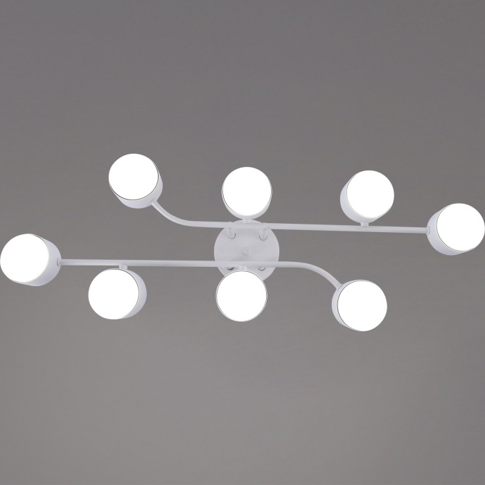 03722-0.3-08 WT GX53_