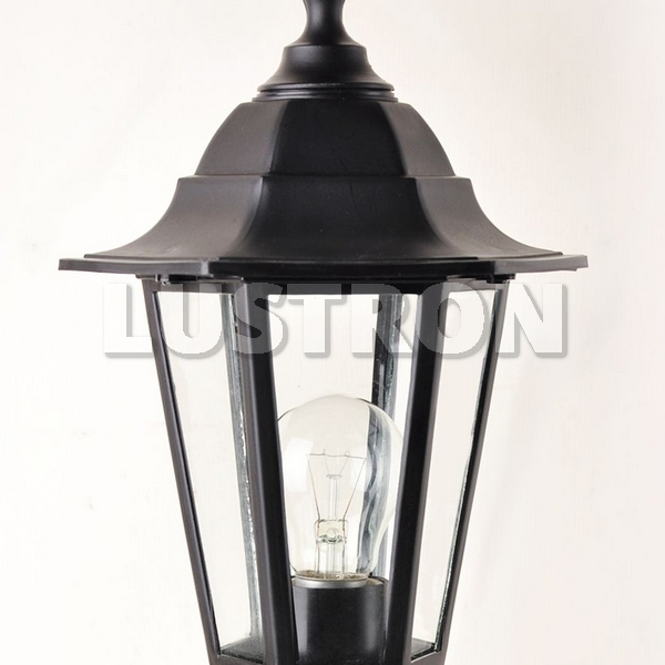 A1214FN-1BK Arte Lamp