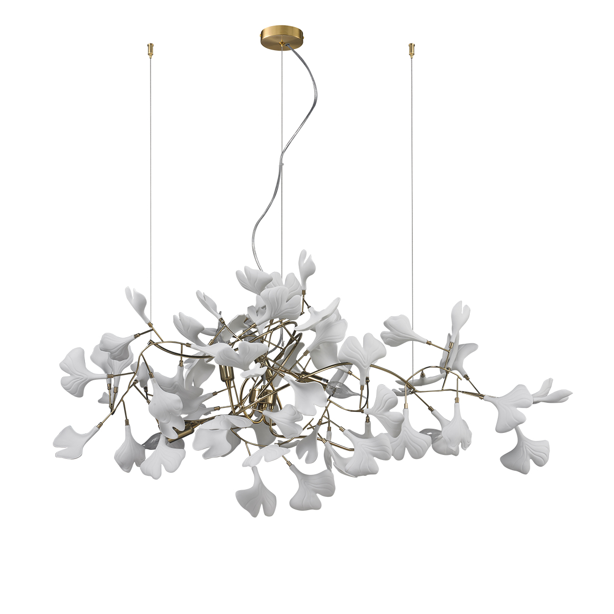 10881P/L800 gold/white Delight Collection