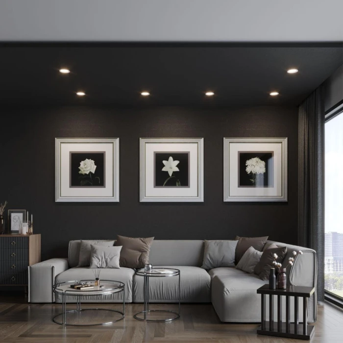 359844 Novotech