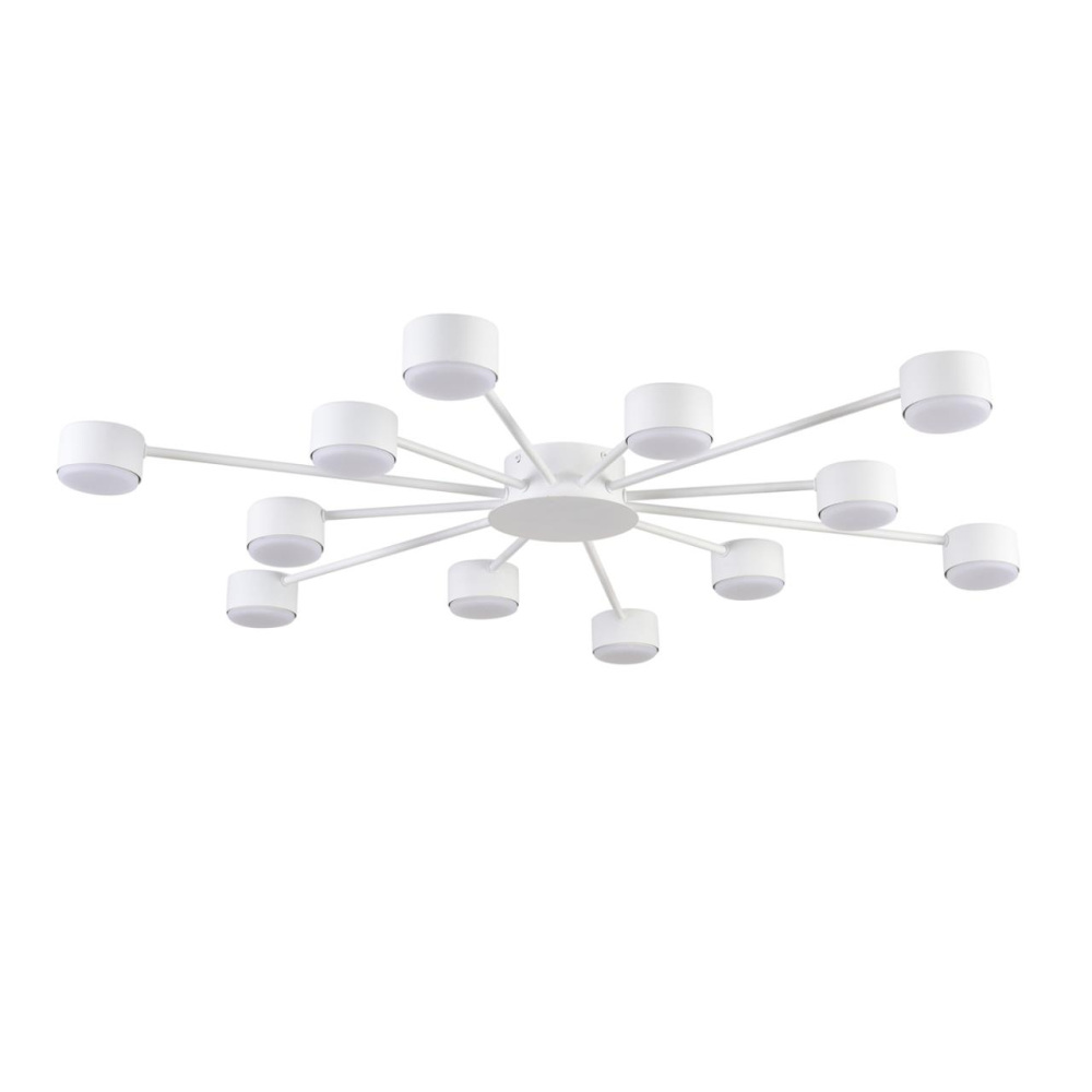 8343/12C Lumion