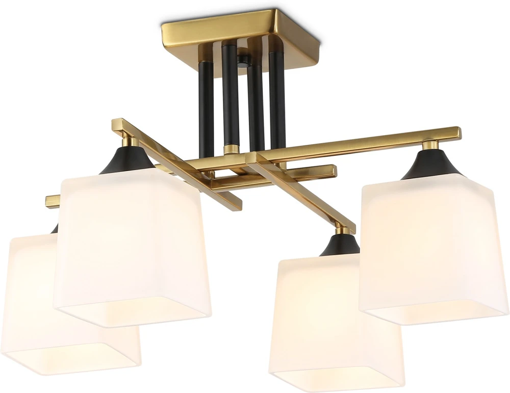 TR303042 Ambrella