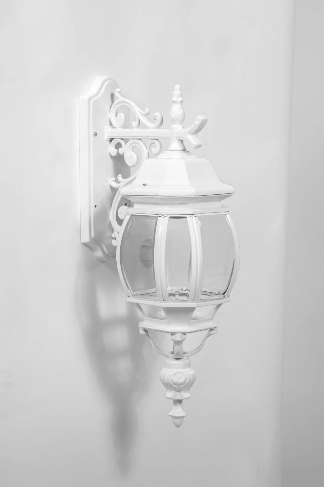 83402L/06 W Oasis Light