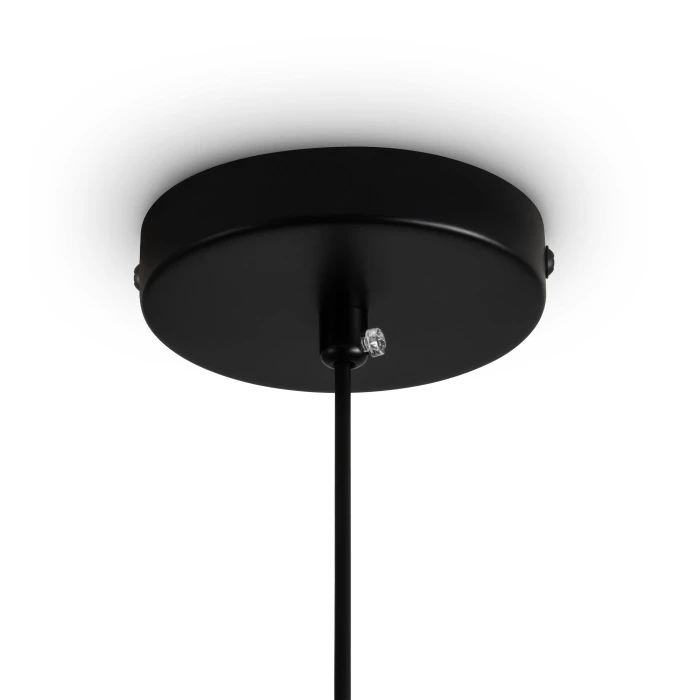 FR5598PL-01CR1