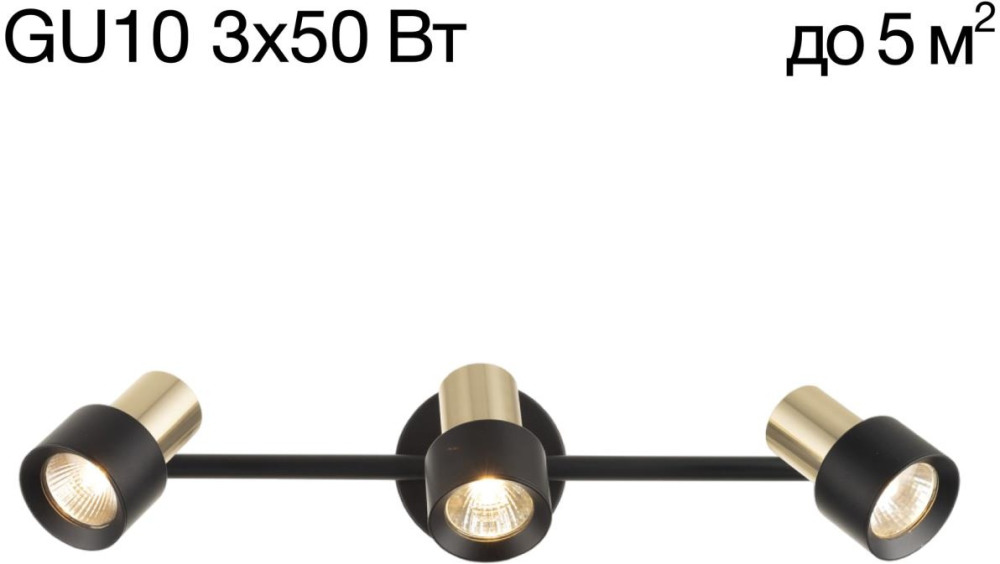 Спот Sat CL505631 Citilux