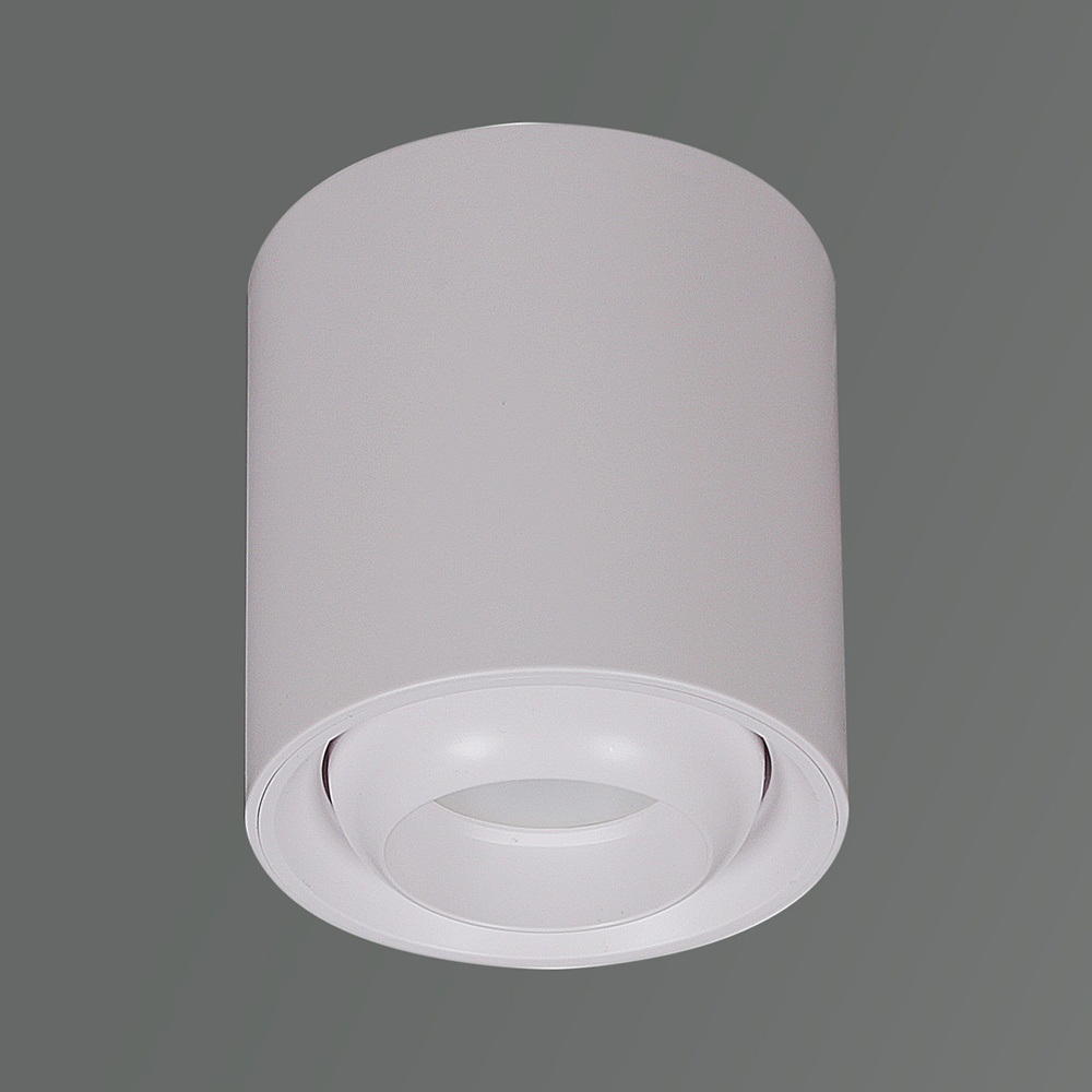 16135-9.5-001 GU10 WT_