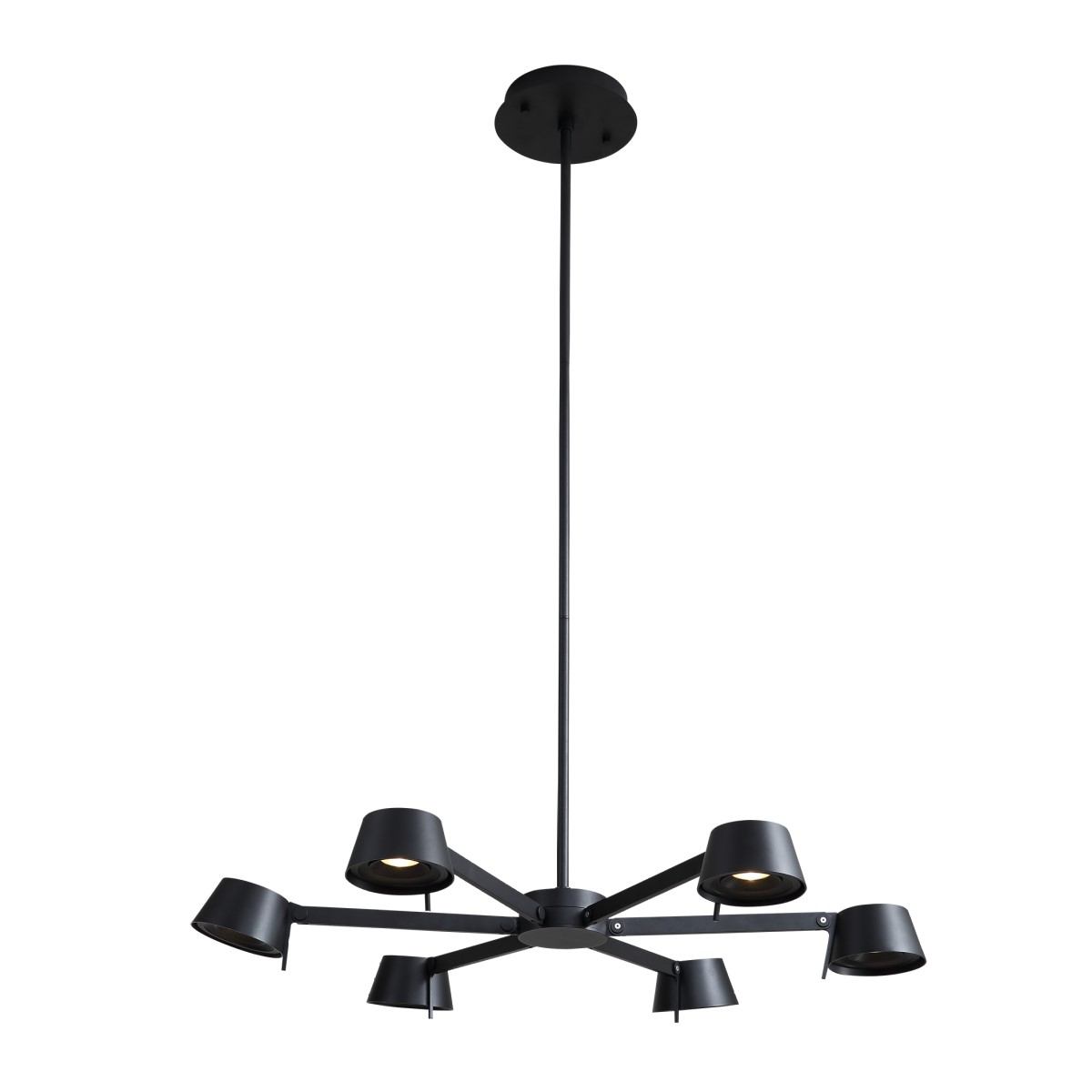 P0214-6A black Delight Collection