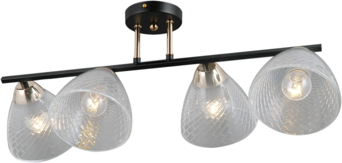 IL0739-4CSQ-24 BK FGD ARIES ILLUMICO
