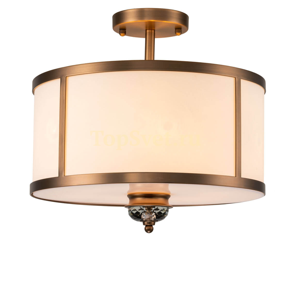 DAISY 080 PL06.coffee_