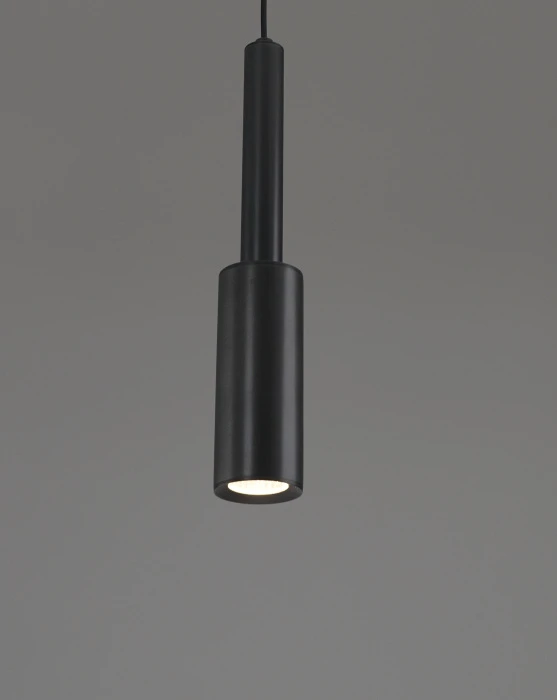 V11965-PL