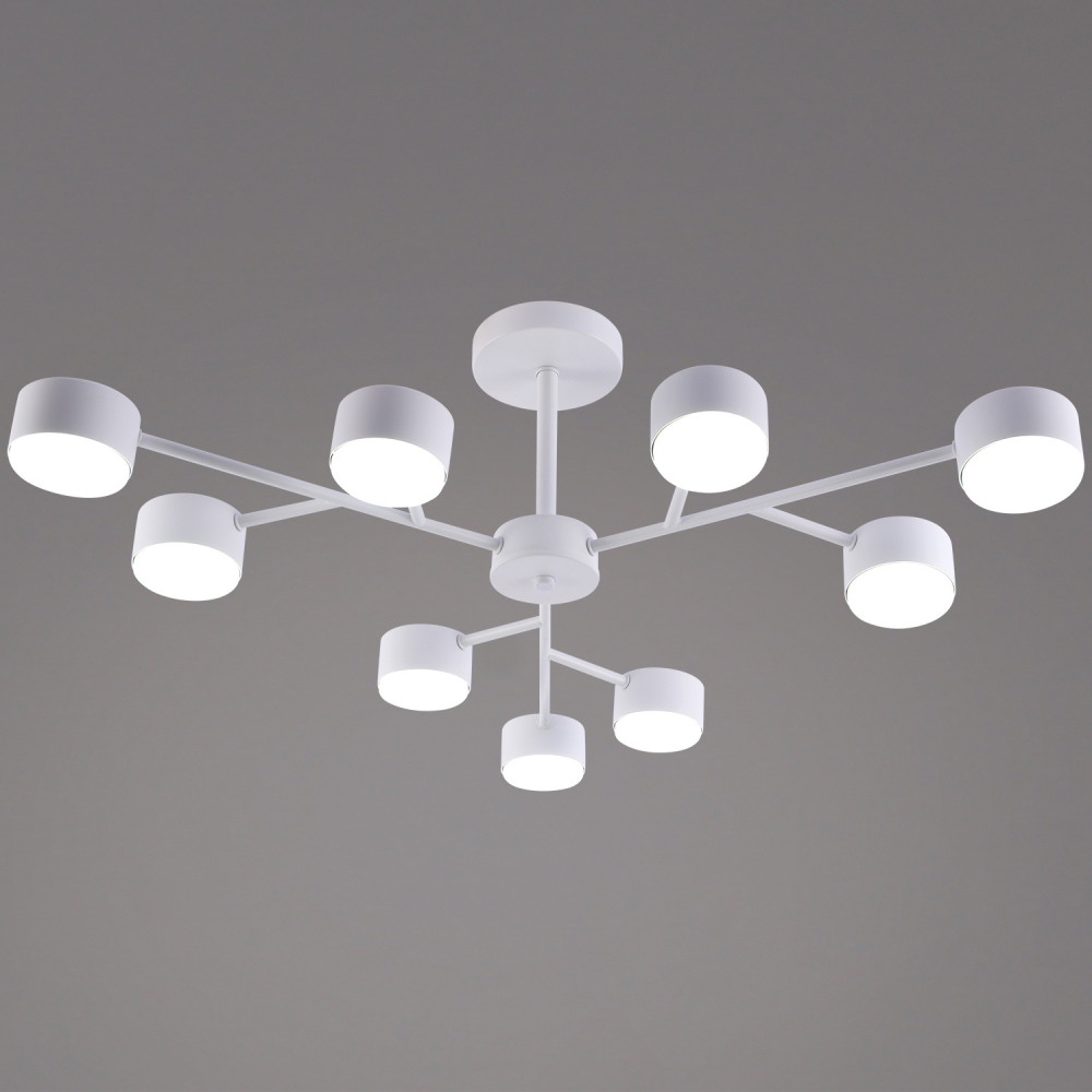 03726-0.3-09 WT GX53_