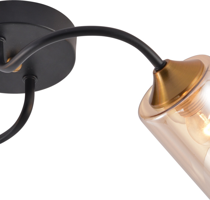 01608-0.3-02 BK+BRASS_