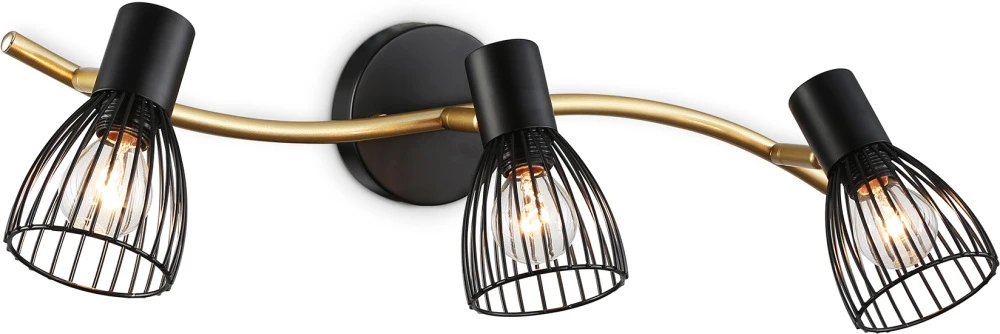 TR8661 Ambrella