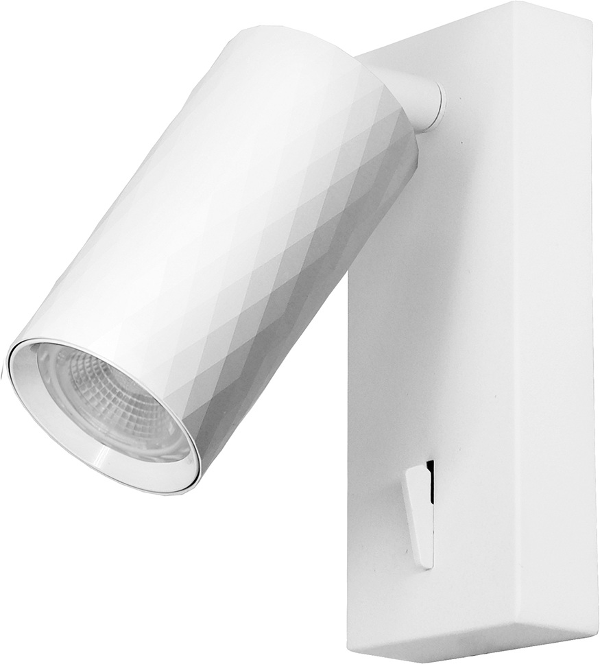 Спот  48799 Feron