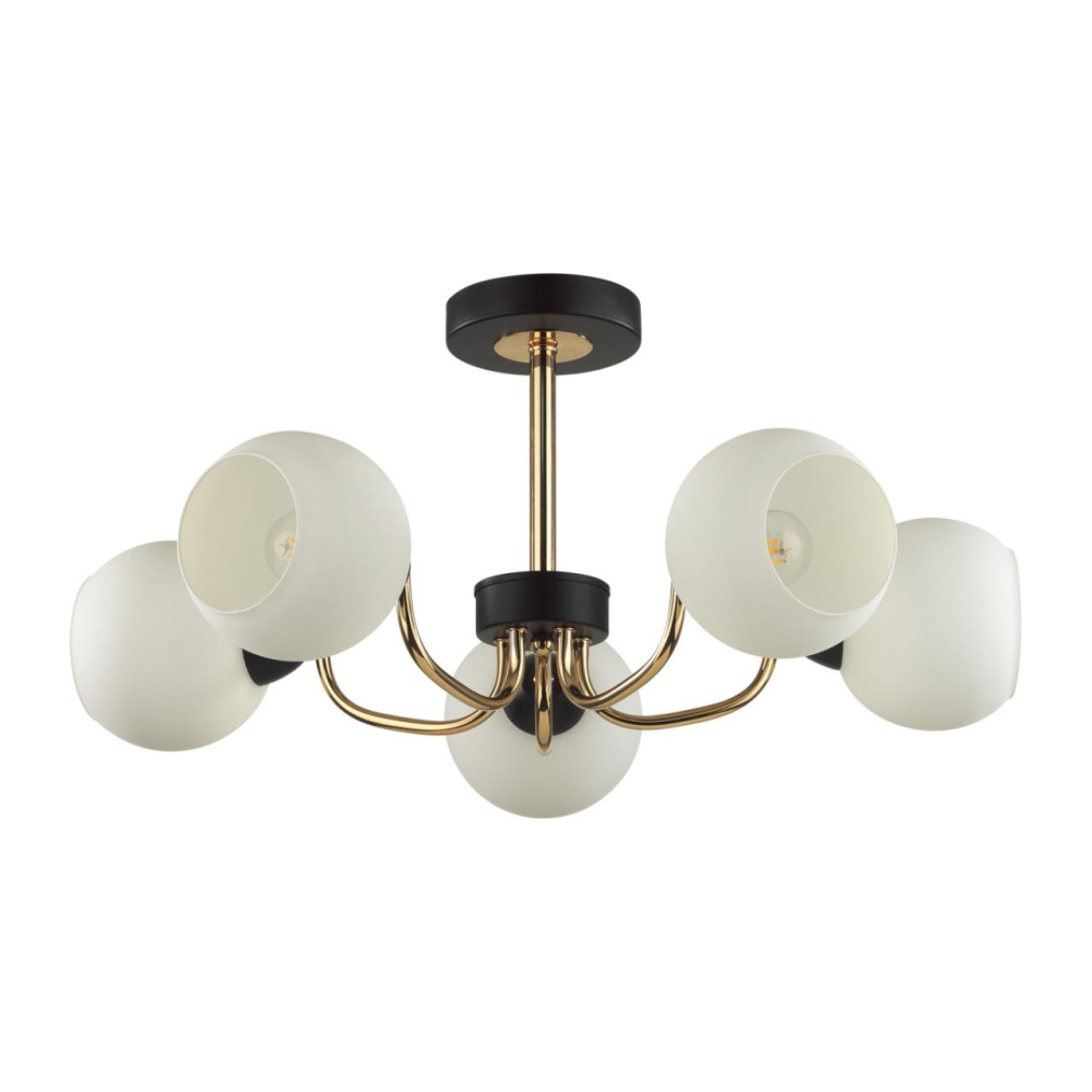 5642/5C Lumion