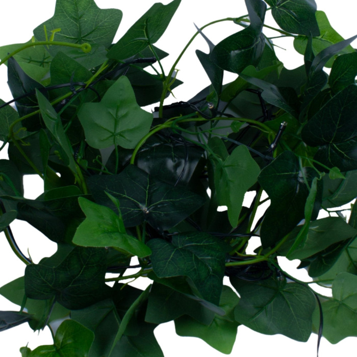 USL-S-135/PT2000 IVY_