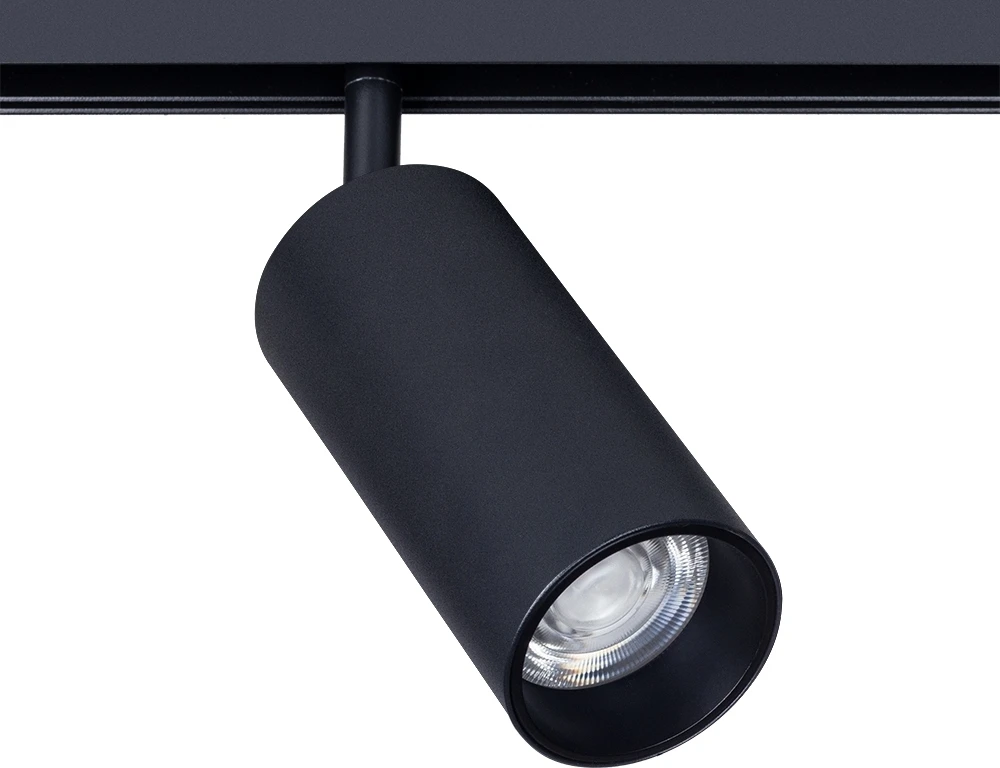 A4671PL-1BK Arte Lamp