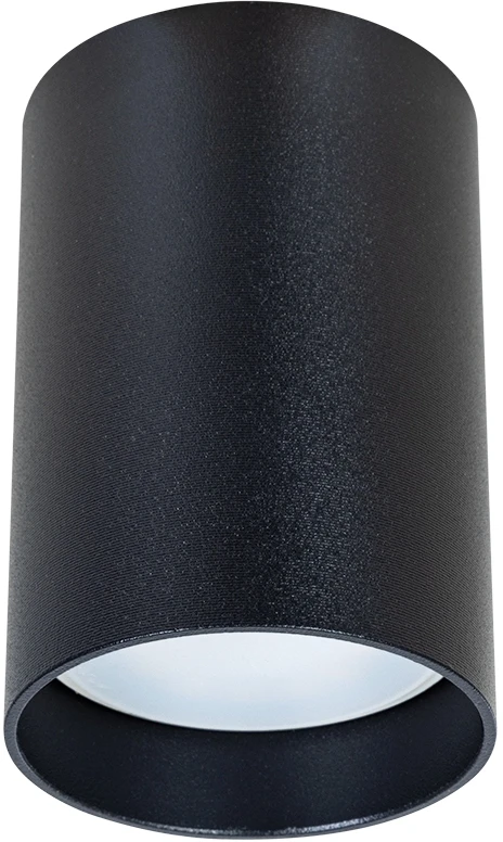 A1517PL-1BK Arte Lamp