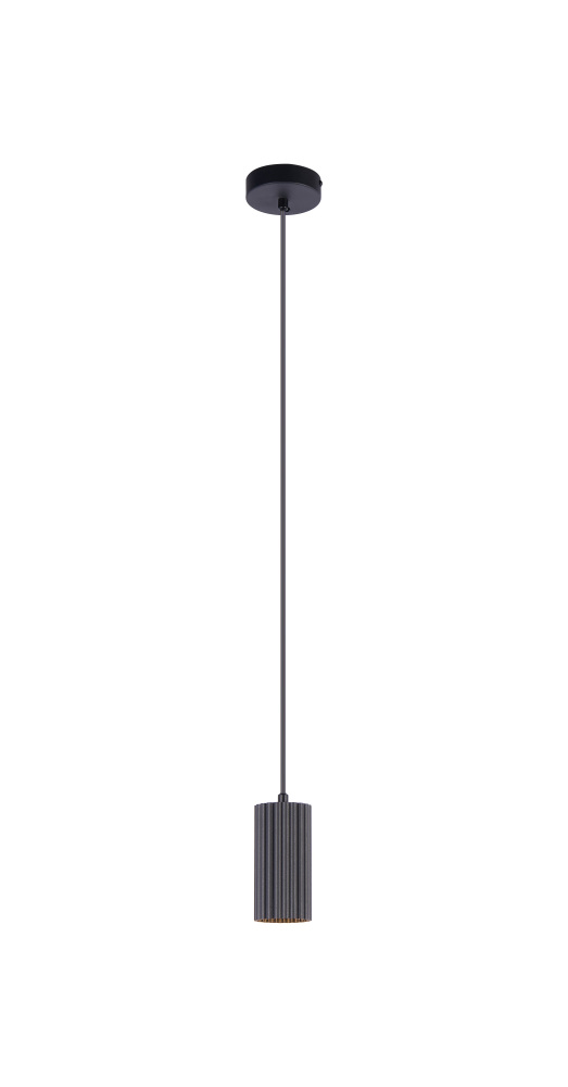 V11783-1P Moderli