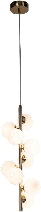 AM489 GOLD H1000 AM Group
