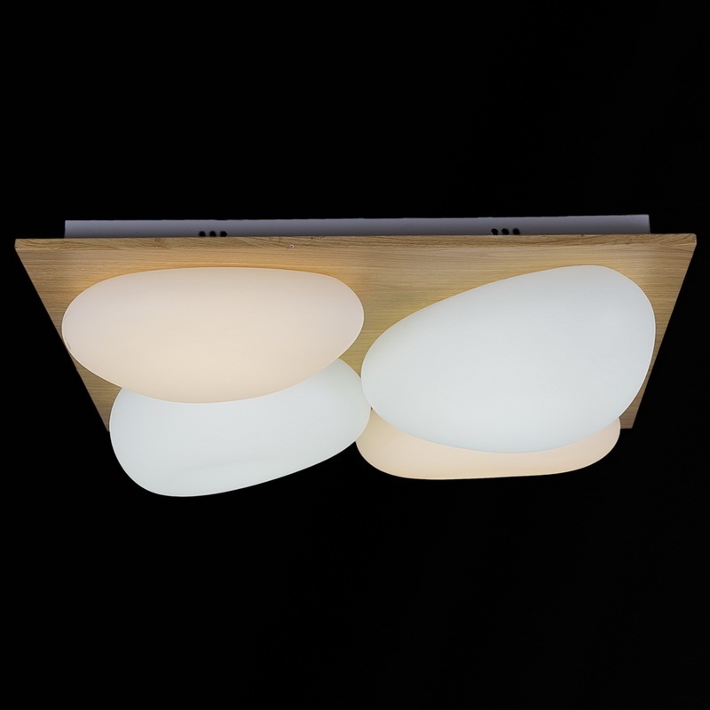 10010-0.3-80W AEROLITE_