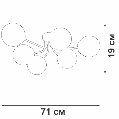 V4996-1/6PL Vitaluce