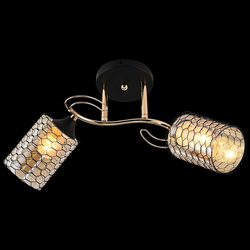 01309-0.3-02 BK+FGD_