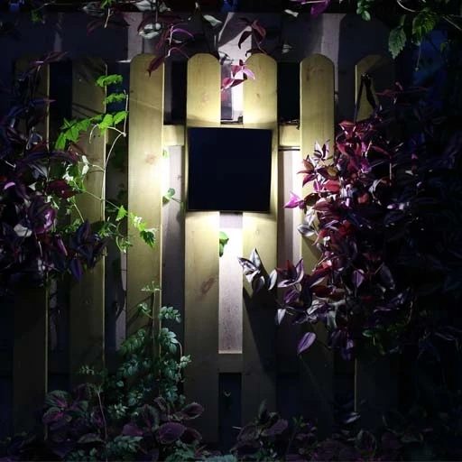 W1869 Gr Oasis Light