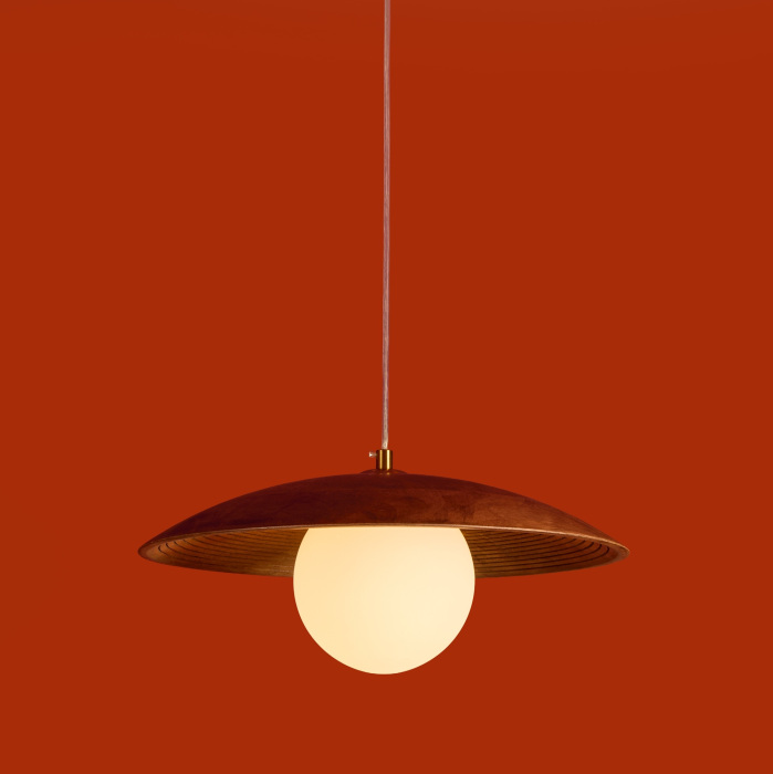 FR5589PL-01T1