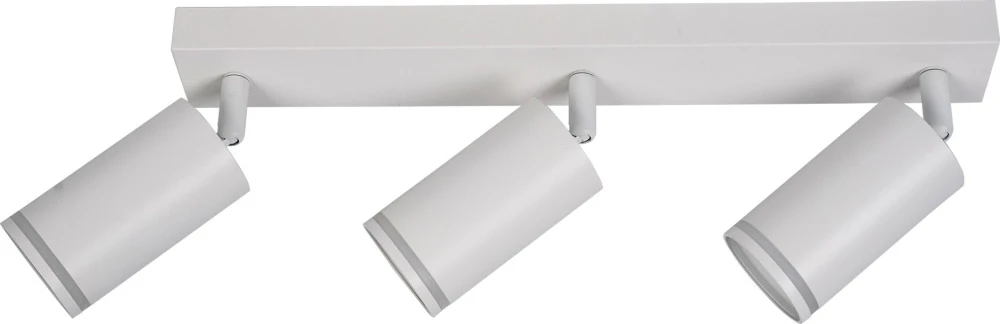 BR08091 Brizzi