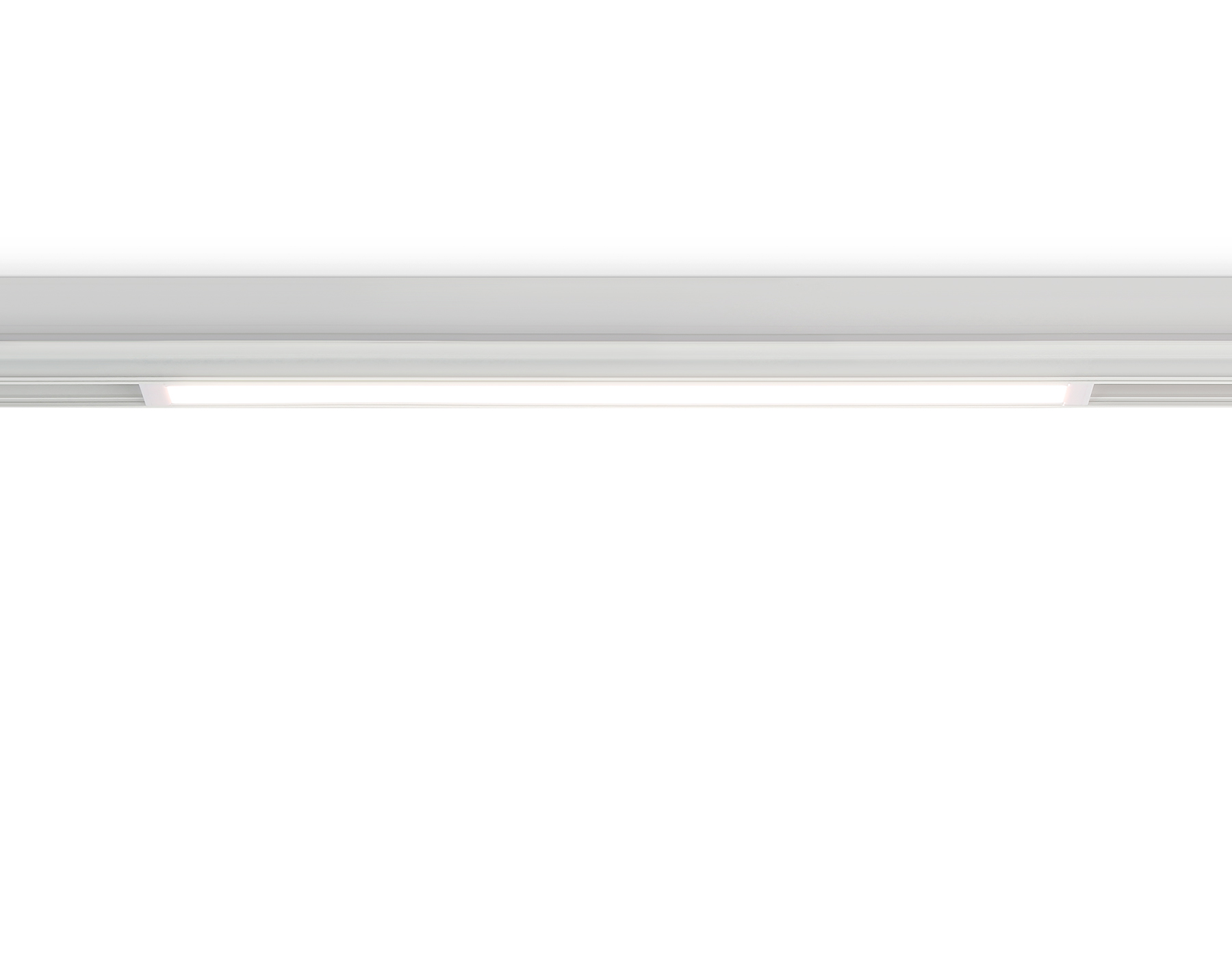 GL1281 Ambrella