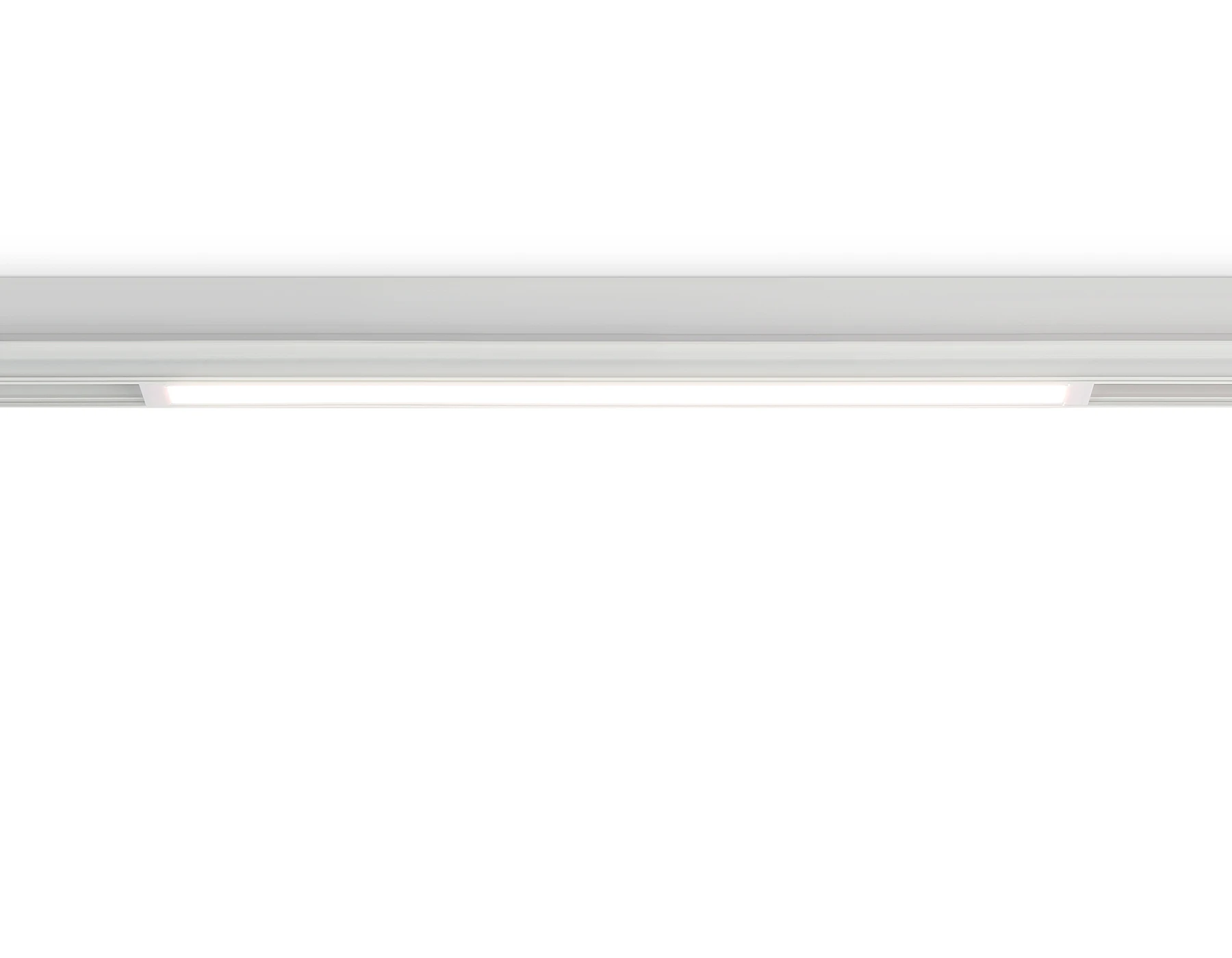 GL1281 Ambrella