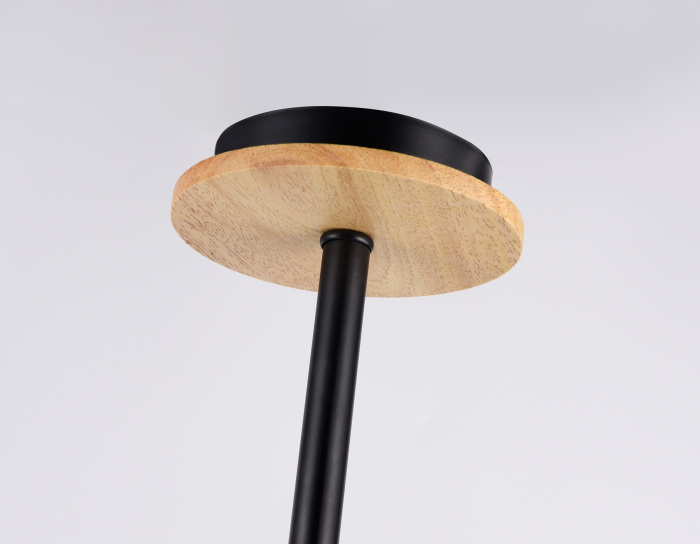 TR80167 Ambrella