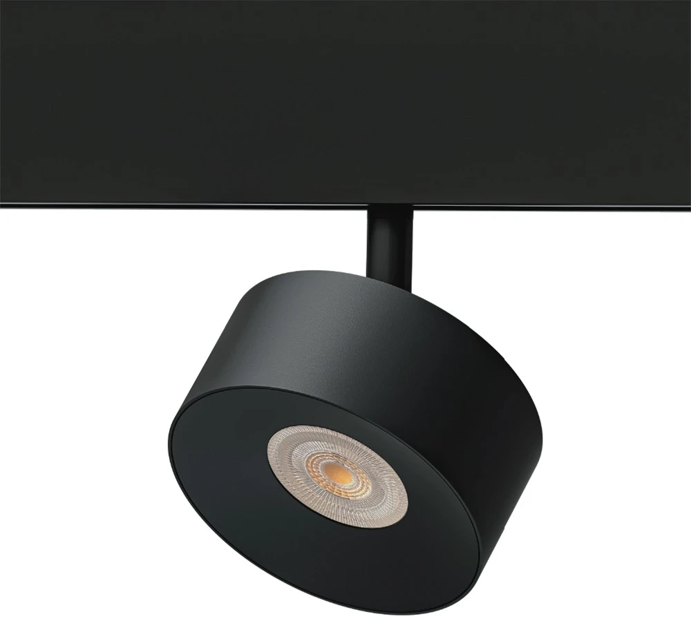 A4771PL-1BK Arte Lamp