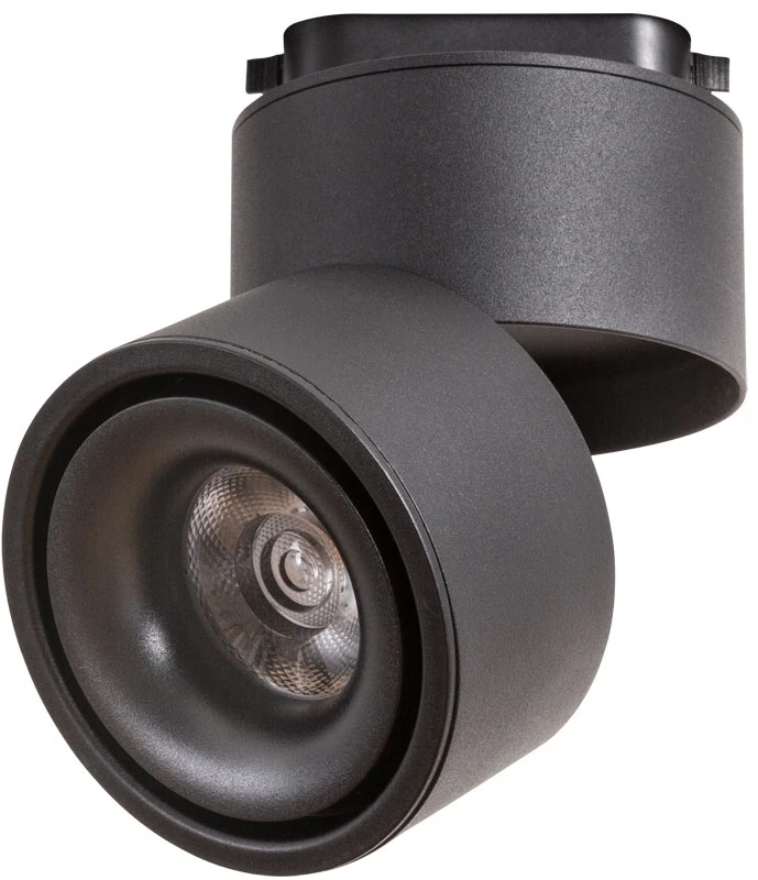 A7716PL-1BK Arte Lamp