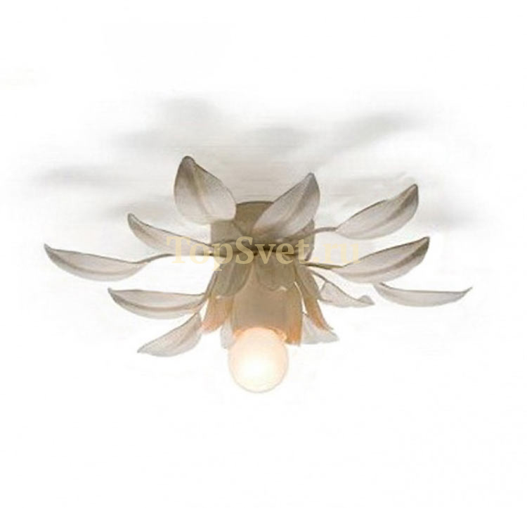 ER-0060/01PL st.tropez-13_