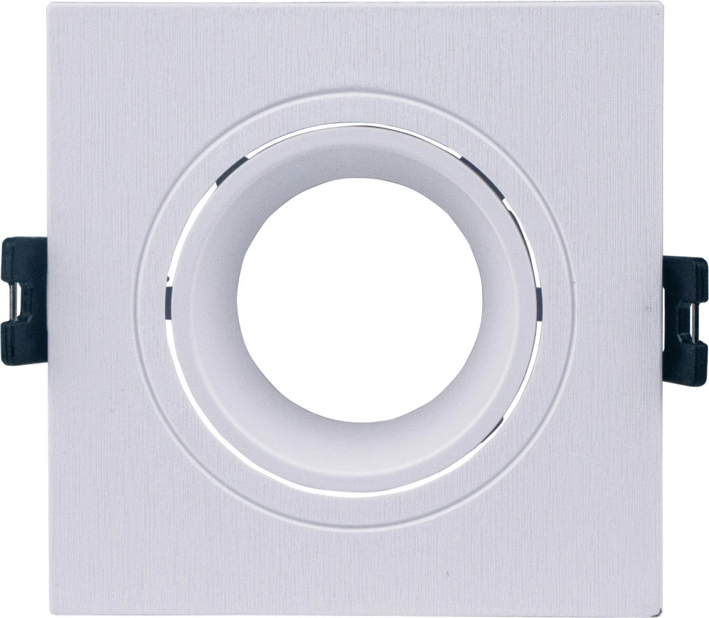 BR07063 Brizzi