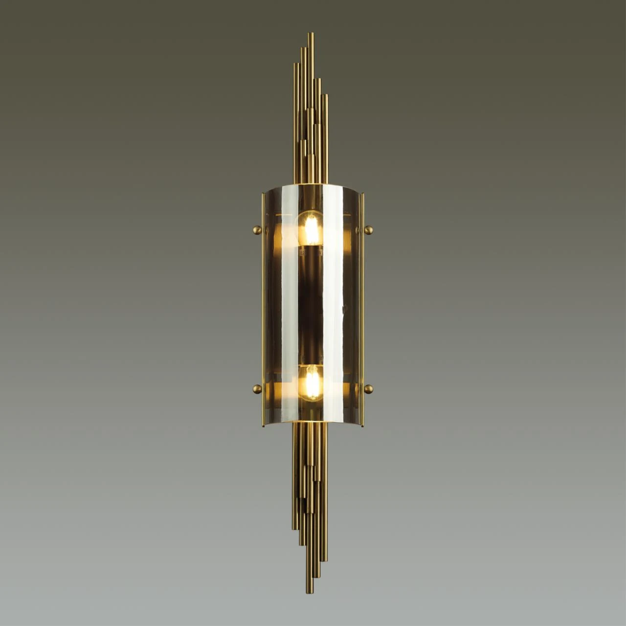 4895/2W Odeon Light