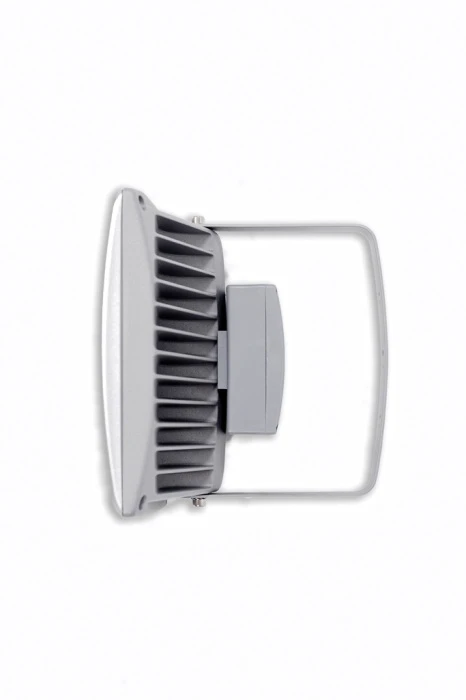 W6170 S Oasis Light