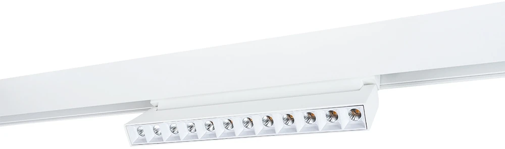 A4638PL-1WH Arte Lamp