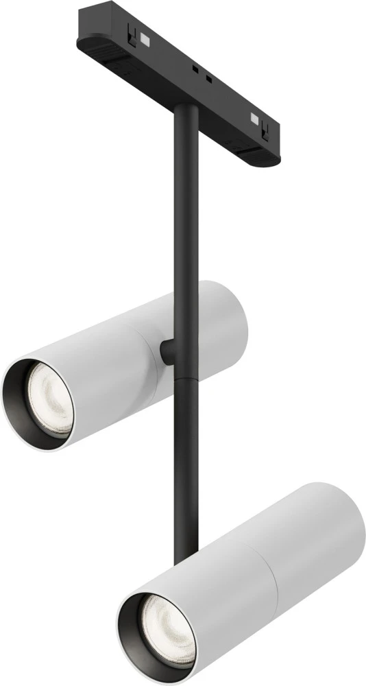 TR005-2-2X12W4K-BW Maytoni