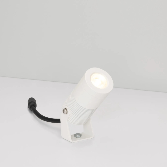 053633 Arlight