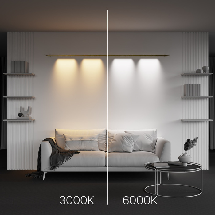 C101CL-L1000-24W3-6K-BS_