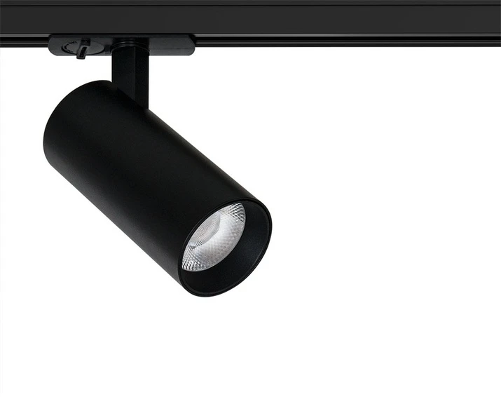 A1946PL-1BK Arte Lamp