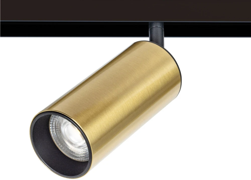 A4661PL-1AB Arte Lamp